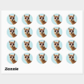 Schattigee lama met zonnebril op ronde sticker (Vel)