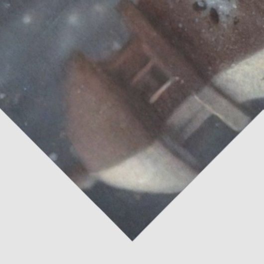 Schattigee landmuis en rustieke lantaarn decoupage tissuepapier (Detail)