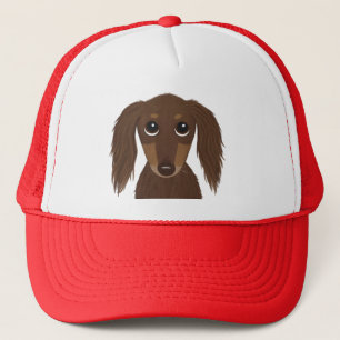 Schattigee langharige chocolade bruine teckel trucker pet