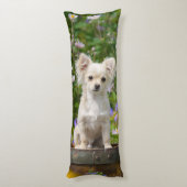 Schattigee langharige crème Chihuahua Dog Puppy kn Lichaamskussen (Achterkant (Verticaal))