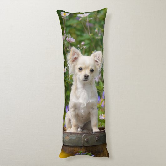 Schattigee langharige crème Chihuahua Dog Puppy kn Lichaamskussen (Achterkant (Verticaal))