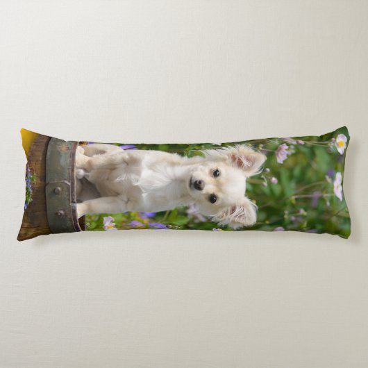 Schattigee langharige crème Chihuahua Dog Puppy kn Lichaamskussen (Voorkant)