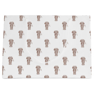 Schattigee langharige teckel worst hond groot cadeauzakje