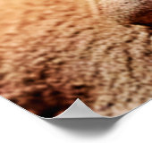 Schattigee Leopard Gecko Sunset Desert Design Poster (Hoek)