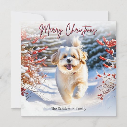 Schattigee Lhasa Apso Hond In Sneeuw Vrolijk Kerst Feestdagenkaart (Voorkant)