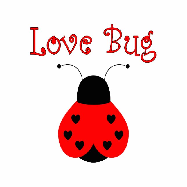Schattigee liefde bug hart lieveheersbeestje Ornam Fotobeeldje Ornament (Voorkant)