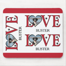 Schattigee liefdeswoorden met honden Foto