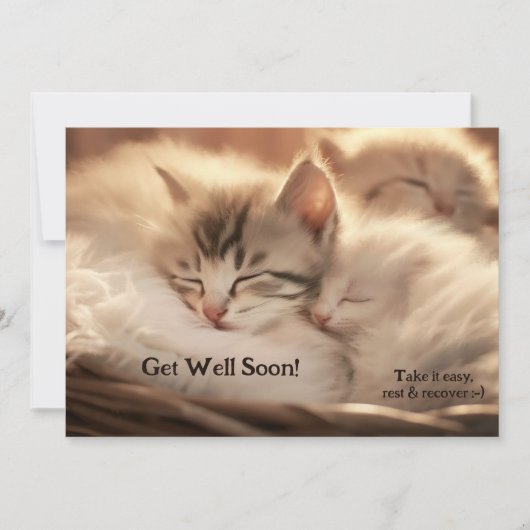 Schattigee lieve kitten vrienden worden snel beter kaart (Voorkant)