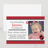 Schattigee lieveheersbeestje, rode en zwarte stipp kaart (Voorkant / Achterkant)