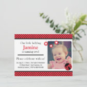 Schattigee lieveheersbeestje, rode en zwarte stipp kaart (Staand voorkant)