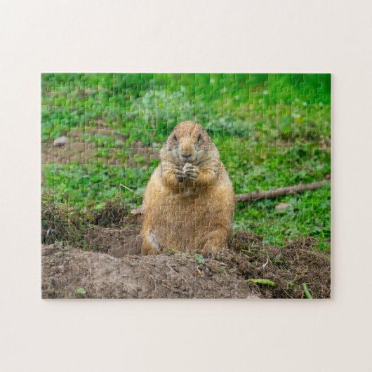 Schattigee Little Black-Tailed Prairie Dog Jigsaw Legpuzzel (Horizontaal)