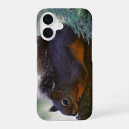 Schattigee Little Douglas Squirrel Wildlife Foto iPhone 16 Hoesje