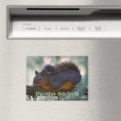 Schattigee Little Douglas Squirrel Wildlife Foto Magneet (Insitu (Vaatwasser))