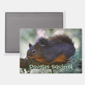 Schattigee Little Douglas Squirrel Wildlife Foto Magneet (Voorkant / Achterkant)