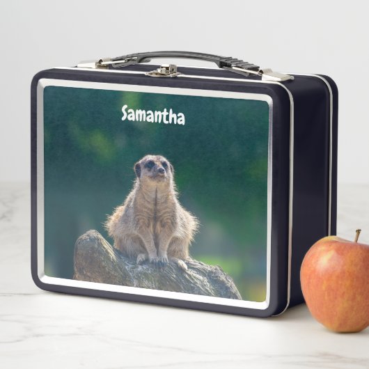Schattigee Little Meerkat Metal Lunchbox (In situ)