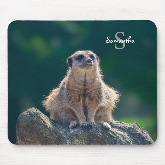 Schattigee Little Meerkat Muismat (Voorkant)