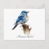 Schattigee Little Mountain Bluebird Waterverf, op  Briefkaart (Voorkant)
