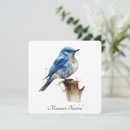 Schattigee Little Mountain Bluebird Waterverf, op  Kaart (Staand voorkant)