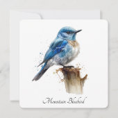 Schattigee Little Mountain Bluebird Waterverf, op  Kaart (Voorkant)