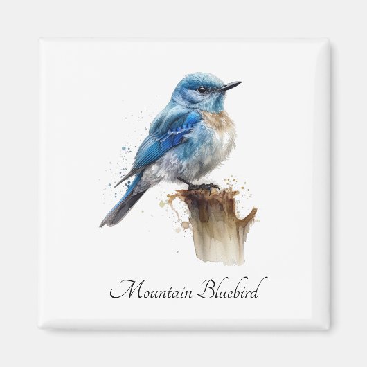 Schattigee Little Mountain Bluebird Waterverf, op  Magneet (Voorkant)