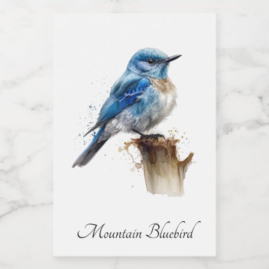 Schattigee Little Mountain Bluebird Waterverf, op  Voedselcontainer Etiket (Enkel label)