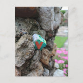 Schattigee Little Painted Heart Rock op Rock Wall Briefkaart (Voorkant)