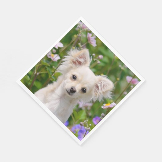 Schattigee longhair crème Chihuahua Dog Puppy Foto Servetten (Hoek)