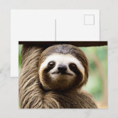 Schattigee luiaard achtergrond feestdagenkaart (Voorkant / Achterkant)