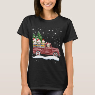 Schattigee luiaards met rode truck grappig kerstca t-shirt