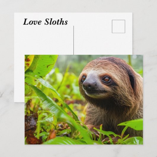 Schattigee luiaardsteun feestdagenkaart (Voorkant / Achterkant)