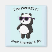 Schattigee magneten (Voorkant)