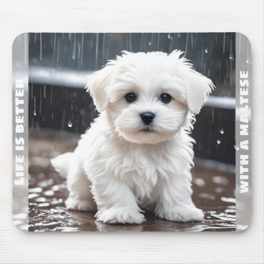 Schattigee Maltese Dog Puppy Herfst Rain Custom Na Muismat (Voorkant)