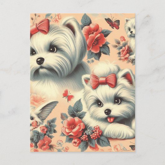  Schattigee Maltese hond Briefkaart (Voorkant)