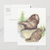 Schattigee Marmot, Dierlijke Natuur, Wildlife Wate Briefkaart (Voorkant / Achterkant)