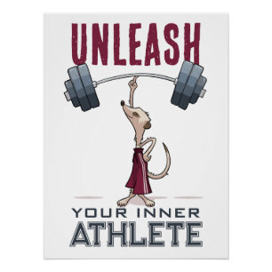 Schattigee Meerkat ontketenen uw innerlijke atleet Perfect Poster