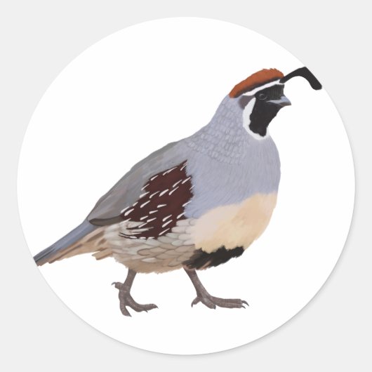 Schattigee minimale kwarteltekening ronde sticker (Voorkant)