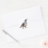 Schattigee minimale kwarteltekening ronde sticker (Envelop)
