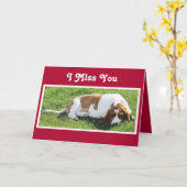 Schattigee "Missing You" Kaart met Basset Hound & (Gele Bloem)