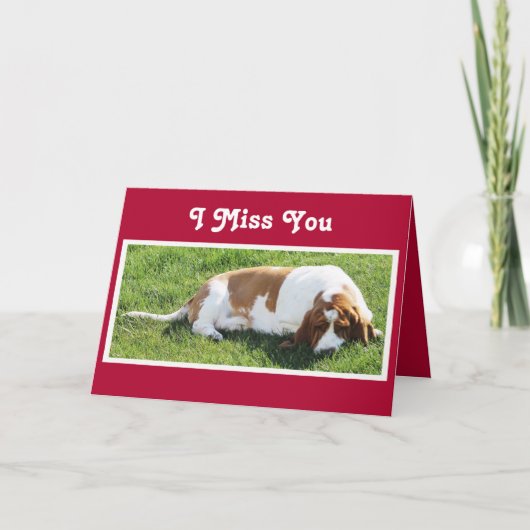 Schattigee "Missing You" Kaart met Basset Hound & (Voorkant)