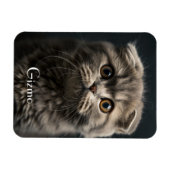 Schattigee Moderne Koelkast Kat Huisdier Foto Magneet (Horizontaal)