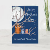 Schattigee Moederdag Uil en 2 Owlets Kaart (Voorkant)