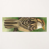 Schattigee Mussen Yoga Mat (Voorkant (horizontaal))