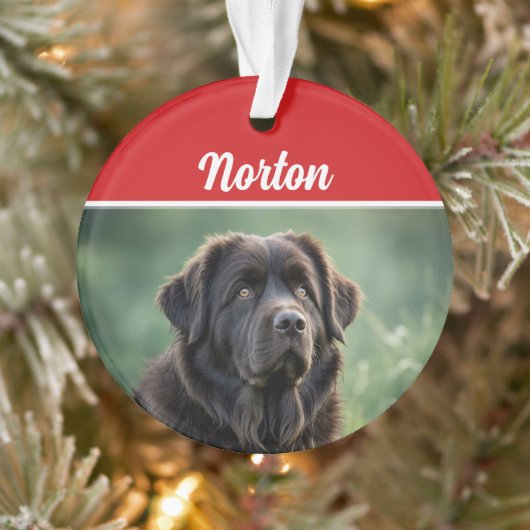 Schattigee Newfoundland Hond Vakantie Kerstfoto Ornament (Boom)