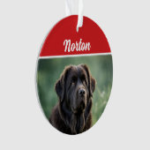 Schattigee Newfoundland Hond Vakantie Kerstfoto Ornament (voorkant)