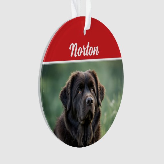 Schattigee Newfoundland Hond Vakantie Kerstfoto Ornament (voorkant)