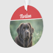 Schattigee Newfoundland Hond Vakantie Kerstfoto Ornament (voorkant)
