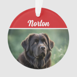 Schattigee Newfoundland Hond Vakantie Kerstfoto Ornament