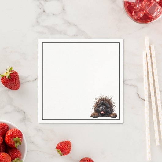 Schattigee Newfoundlandse puppy Servet (Insitu)