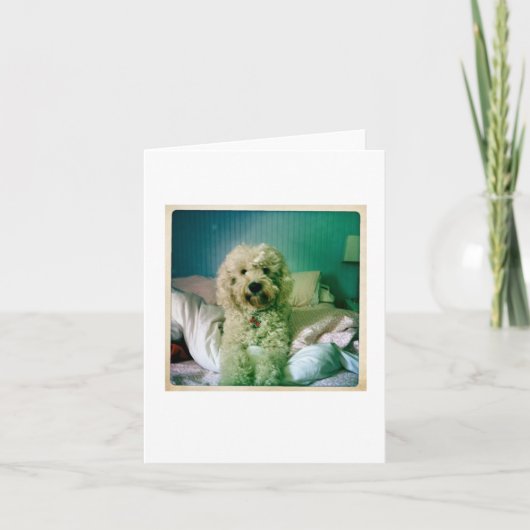 Schattigee Notecard Goldendoodle Kaart (Voorkant)