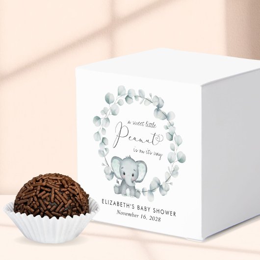 Schattigee olifant eucalyptus Baby shower dank u Bedankdoosjes